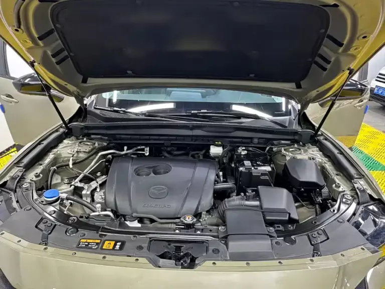 900x675_0_q87_c42_autohomecar__Chto52oiGLSAOOIdAAlD9PKyQ-g473.jpg